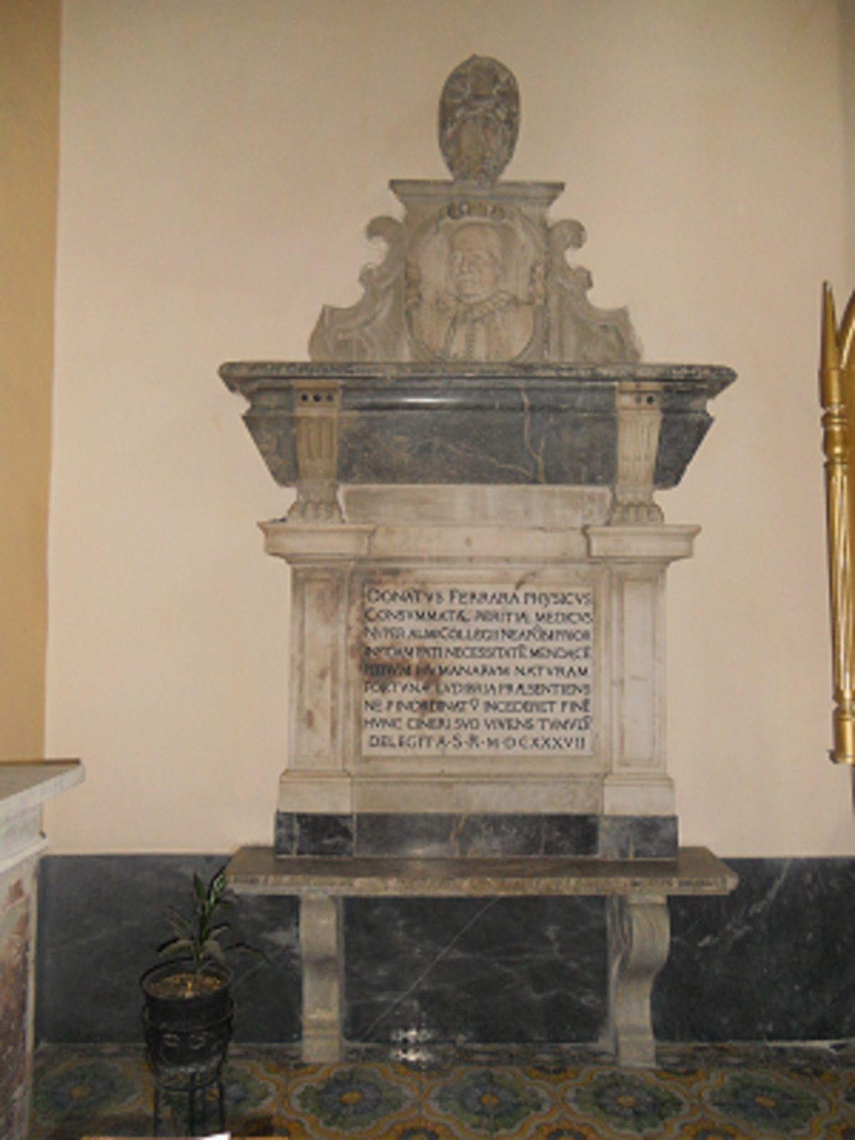 Donato Ferrara 1.JPG